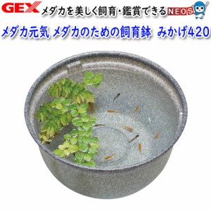 GEX　メダカ元気　メダカのための飼育鉢　みかげ420