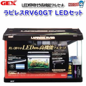 GEX　ラピレスＲＶ60ＧＴ　ＬＥＤセット