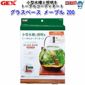 GEX　グラスベース　メープル200