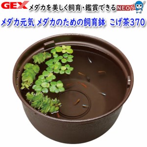 GEX　メダカ元気　メダカのための飼育鉢　こげ茶370