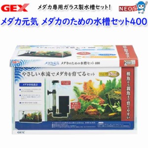 GEX　メダカ元気 メダカのための水槽セット400