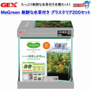 GEX　MeGreen 新鮮な水草付きグラステリア200セット