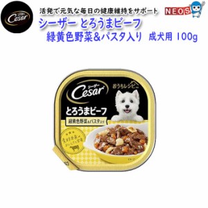 マースジャパン　シーザー　とろうまビーフ　緑黄色野菜＆パスタ入り　成犬用　100g