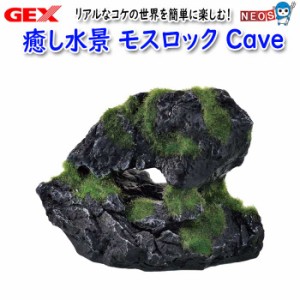 GEX 癒し水景 モスロックCave