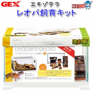 GEX EXO TERRA（エキゾテラ）　EXOTERRA　レオパ飼育キット