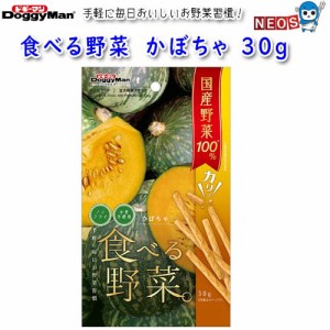 ドギーマン　食べる野菜　かぼちゃ　30g