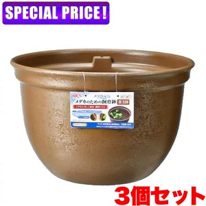 【日曜闇市】GEX　メダカ元気 メダカのための飼育鉢 茶320　3個セット