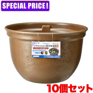【日曜闇市】GEX　メダカ元気 メダカのための飼育鉢 茶320　10個セット