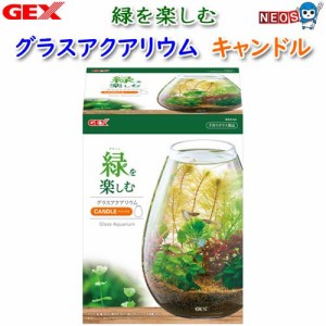 GEX　グラスアクアリウム　キャンドル　小型水槽