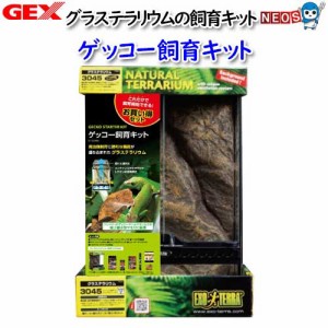 GEX　ゲッコウー飼育キットGT3045【取寄せ商品】