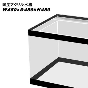 国産アクリル水槽W450×D450×H450　溶剤接着　帯有【同梱不可】【送料要問い合わせ】【アクリル水槽】　  【水槽/熱帯魚/観賞魚/飼育】