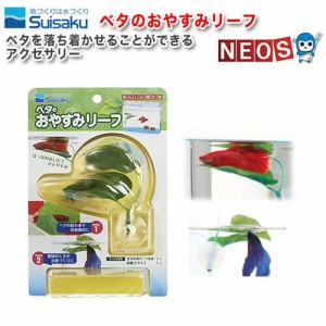 水作　ベタのおやすみリーフ  【水槽/熱帯魚/観賞魚/飼育】【生体】【通販/販売】【アクアリウム/あくありうむ】 