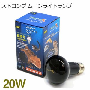 ゼンスイ　ストロング ムーンライトランプ　20W　【取寄商品】  【水槽/熱帯魚/観賞魚/飼育】【生体】【通販/販売】【アクアリウム/あく