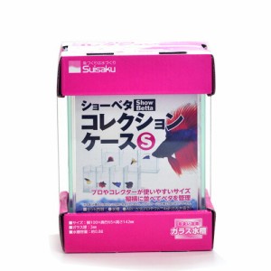 水作　ショーベタ　コレクションケース　S 【新着】 【水槽/熱帯魚/観賞魚/飼育】【生体】【通販/販売】【アクアリウム/あくありうむ】 