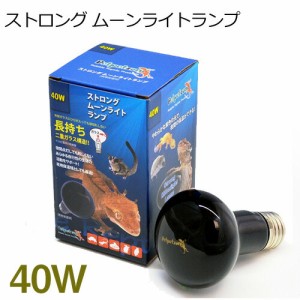 ゼンスイ　ストロング ムーンライトランプ　40W　【取寄商品】  【水槽/熱帯魚/観賞魚/飼育】【生体】【通販/販売】【アクアリウム/あく