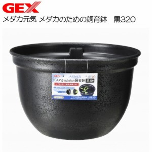 GEX　メダカ元気 メダカのための飼育鉢 黒320  【水槽/熱帯魚/観賞魚/飼育】【生体】【通販/販売】【アクアリウム/あくありうむ】 