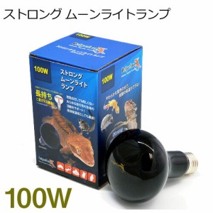 ゼンスイ　ストロング ムーンライトランプ　100W　【取寄商品】  【水槽/熱帯魚/観賞魚/飼育】【生体】【通販/販売】【アクアリウム/あく