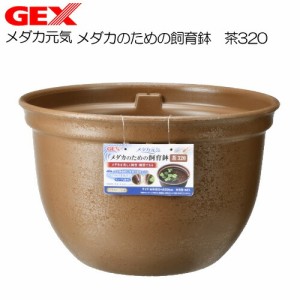 GEX　メダカ元気 メダカのための飼育鉢 茶320  【水槽/熱帯魚/観賞魚/飼育】【生体】【通販/販売】【アクアリウム/あくありうむ】 