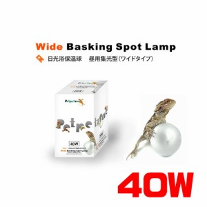 ゼンスイ　ワイドバスキングスポットライト　40W【取寄商品】  【水槽/熱帯魚/観賞魚/飼育】【生体】【通販/販売】【アクアリウム/あくあ