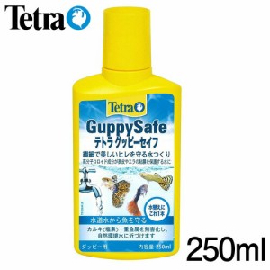 テトラ　グッピーセイフ　250ml　 【新着】 【水槽/熱帯魚/観賞魚/飼育】【生体】【通販/販売】【アクアリウム/あくありうむ】 