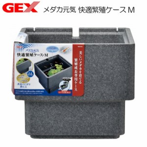 GEX　メダカ元気 快適繁殖ケース M  【水槽/熱帯魚/観賞魚/飼育】【生体】【通販/販売】【アクアリウム/あくありうむ】 