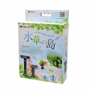 カミハタ　水草の島　  【水槽/熱帯魚/観賞魚/飼育】【生体】【通販/販売】【アクアリウム/あくありうむ】 