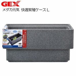 GEX　メダカ元気 快適繁殖ケース L  【水槽/熱帯魚/観賞魚/飼育】【生体】【通販/販売】【アクアリウム/あくありうむ】 