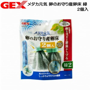 GEX　メダカ元気 卵のお守り産卵床　緑　2個入  【水槽/熱帯魚/観賞魚/飼育】【生体】【通販/販売】【アクアリウム/あくありうむ】 