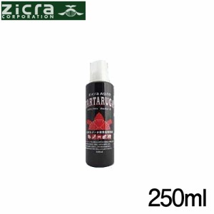 ジクラ　アギト　タルタルーガ　250ml  【水槽/熱帯魚/観賞魚/飼育】【生体】【通販/販売】【アクアリウム/あくありうむ】 