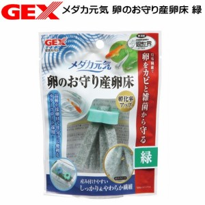 GEX　メダカ元気 卵のお守り産卵床　緑  【水槽/熱帯魚/観賞魚/飼育】【生体】【通販/販売】【アクアリウム/あくありうむ】 