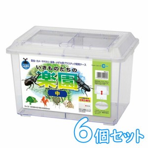 マルカン　プラケース いきものたちの楽園 中　PW-16【6個セット】　 【新着】 【水槽/熱帯魚/観賞魚/飼育】【生体】【通販/販売】【アク