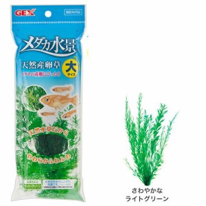 GEX　メダカ水景 天然産卵草　大  【水槽/熱帯魚/観賞魚/飼育】【生体】【通販/販売】【アクアリウム/あくありうむ】 