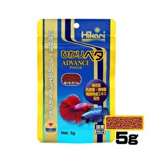 キョーリン　ひかりベタ　アドバンス　5ｇ　【餌 えさ エサ】【観賞魚　餌やり】  【水槽/熱帯魚/観賞魚/飼育】【生体】【通販/販売】【