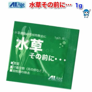 ＡＩネット　水草その前に…　【農薬・付着生物を安全に除去！】　  【水槽/熱帯魚/観賞魚/飼育】【生体】【通販/販売】【アクアリウム/