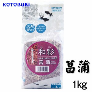 コトブキ　和彩  菖蒲(あやめ)　1kg　  【水槽/熱帯魚/観賞魚/飼育】【生体】【通販/販売】【アクアリウム/あくありうむ】 