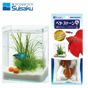 水作 ベタストーン　  【水槽/熱帯魚/観賞魚/飼育】【生体】【通販/販売】【アクアリウム/あくありうむ】 