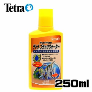 テトラ　ブラックウォーター 250ml　  【水槽/熱帯魚/観賞魚/飼育】【生体】【通販/販売】【アクアリウム/あくありうむ】 