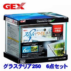 GEX　グラステリア250 6点セット 【水槽セット】【飼育セット】　  【水槽/熱帯魚/観賞魚/飼育/セット水槽/オブジェ】【生体】【通販/販