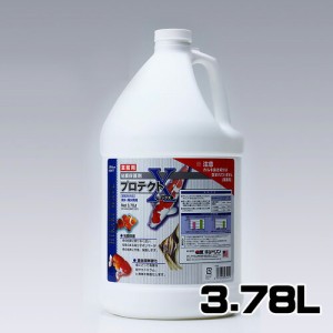 キョーリン　粘膜保護剤 プロテクトX 業務用 3.78L　  【水槽/熱帯魚/観賞魚/飼育】【生体】【通販/販売】【アクアリウム/あくありうむ】