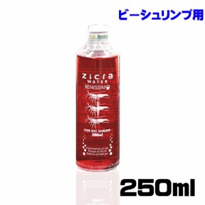 ジクラ　ウォーター（ビーシュリンプ用）　250ml　  【水槽/熱帯魚/観賞魚/飼育】【生体】【通販/販売】【アクアリウム/あくありうむ】 