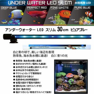 ゼンスイ　アンダーウォーターLED スリム 30cm ピュアブルー（PB）【取寄商品】  【水槽/熱帯魚/観賞魚/飼育】【生体】【通販/販売】【ア