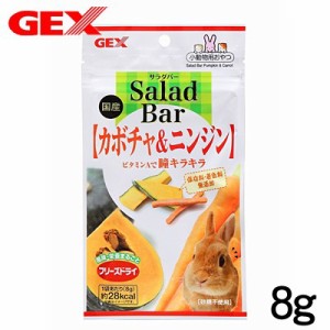 GEX　サラダバー カボチャ＆ニンジン 8g 【おやつ/餌/えさ/エサ】【ハムスター/うさぎ/リス/モルモット/鳥】【小動物】