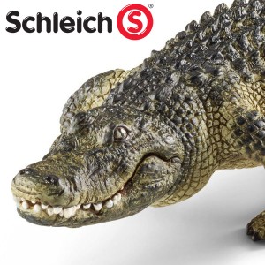 (インテリア・雑貨) schleich　シュライヒ　14727 アメリカワニ    【水槽/熱帯魚/観賞魚/飼育】【生体】【通販/販売】【アクアリウム/あ