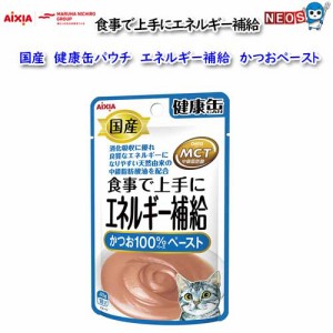 ゆうパケット290円　アイシア　国産　健康缶パウチ　エネルギー補給　かつおペースト　40ｇ