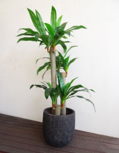 軽量プランター プランター 植木鉢 底穴あり ブラック  幅41cm ガーデニング 園芸用品 大型 おしゃれ 円形 アンティーク 陶器鉢