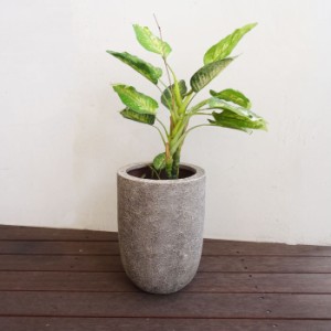 軽量プランター プランター 植木鉢 底穴あり ブラック  幅25cm ガーデニング 園芸用品 大型 おしゃれ 筒型 アンティーク 陶器鉢