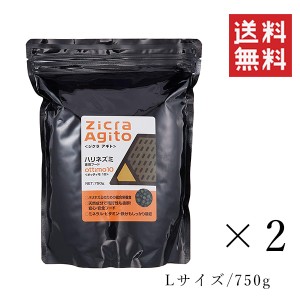 クーポン配布中!! ジクラ アギト ハリネズミ専用フード L 750g×2個セット まとめ買い 小動物 餌 えさ