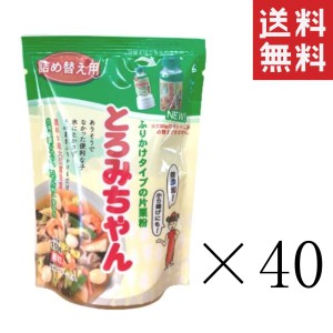 クーポン配布中!! 丸三美田実郎商店 顆粒片栗粉 とろみちゃん 詰め替え用 100g×40個セット まとめ買い 顆粒状 ふりかけタイプ 簡単