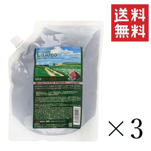 【即納】サニープレイス ザクロ精炭酸 シャンプー 800ml×3個セット まとめ買い 詰替 大容量 リフィル 頭皮 スカルプケア ハイグレード 