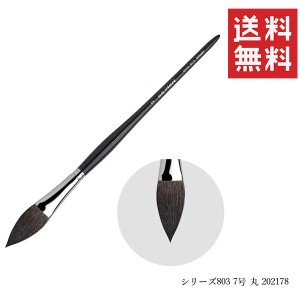 メール便/送料無料 ダヴィンチ 水彩画筆 シリーズ803 7号 丸 202178